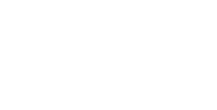 Merer Shirts